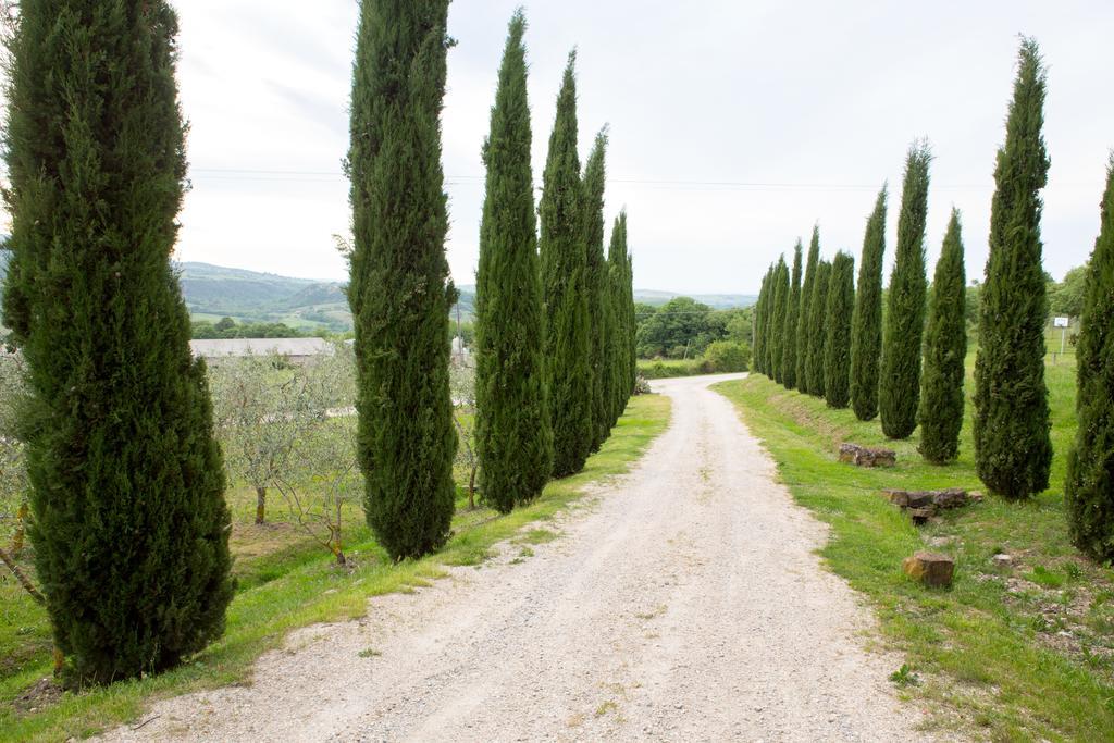 Castiglione dʼOrcia Podere Il Tigliolo المظهر الخارجي الصورة