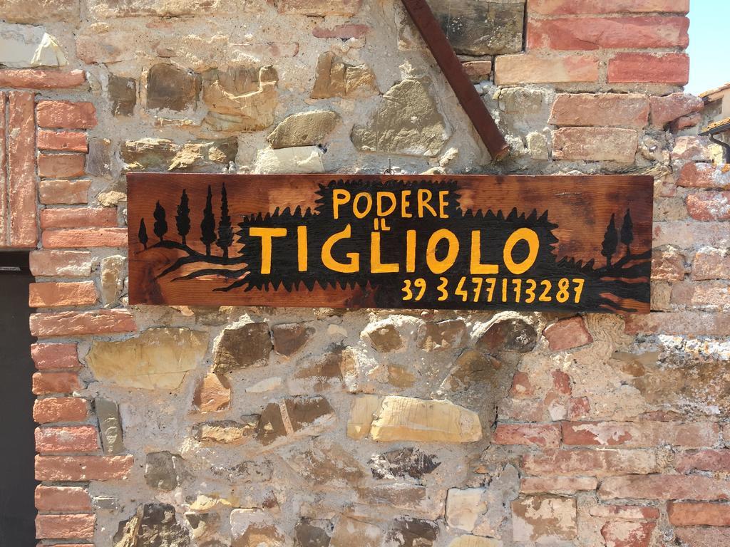 Castiglione dʼOrcia Podere Il Tigliolo المظهر الخارجي الصورة