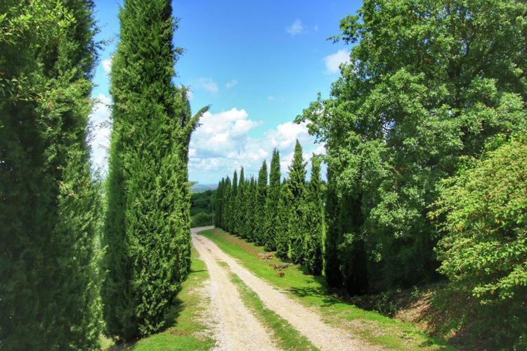 Castiglione dʼOrcia Podere Il Tigliolo المظهر الخارجي الصورة